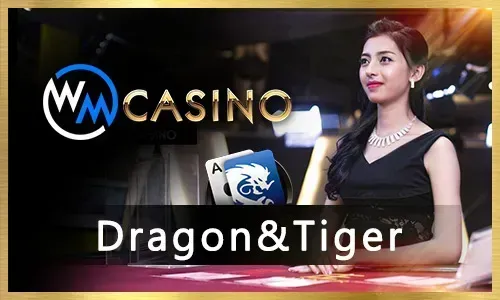 SS777 Online Bingo Philippines